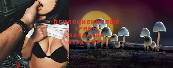 гидропоника Надым