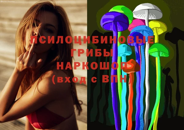 spice Нея