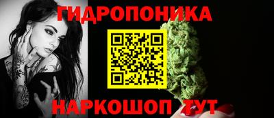МДПВ Дубна