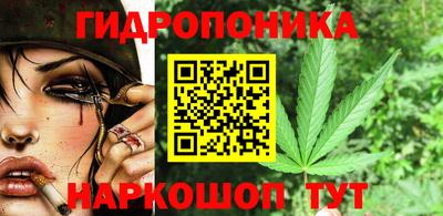 винт Донецк
