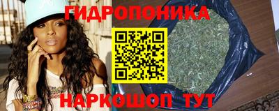 винт Донецк