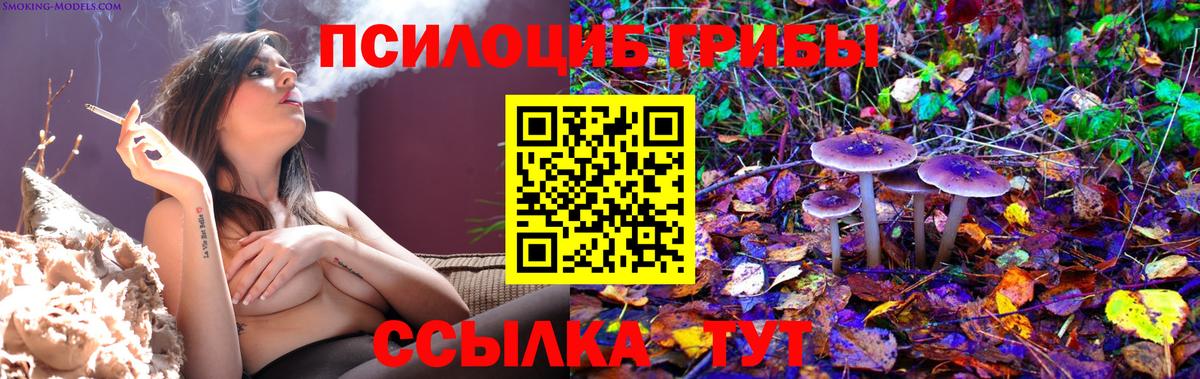 Галлюциногенные грибы Cubensis Мичуринск