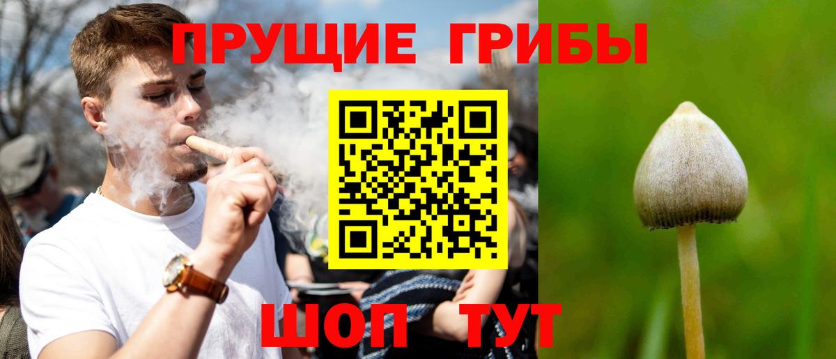 где купить наркоту  Псилоцибиновые грибы Cubensis  Галлюциногенные грибы мицелий  Вход с VPN  Мичуринск 